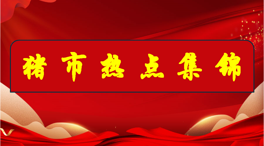 搜豬洞察：豬市熱點(diǎn)集錦