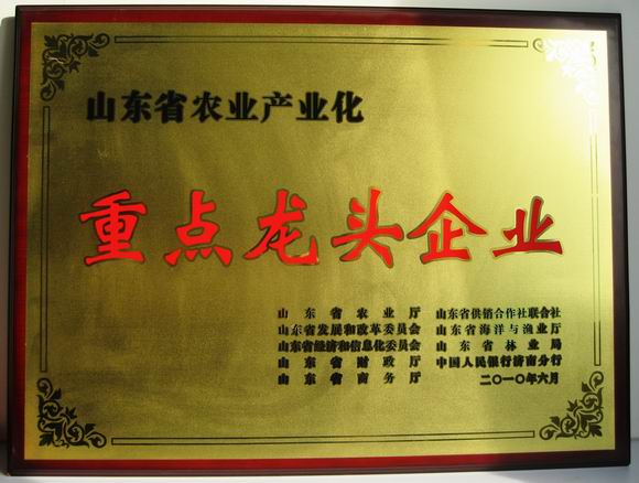 山東省農(nóng)業(yè)產(chǎn)業(yè)重點(diǎn)龍頭企業(yè)