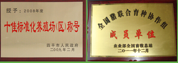 榮譽(yù)證書(shū)