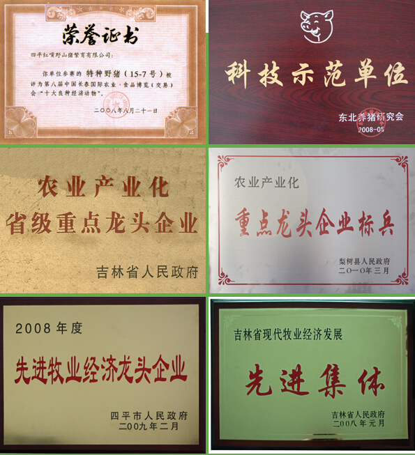 榮譽(yù)資質(zhì)