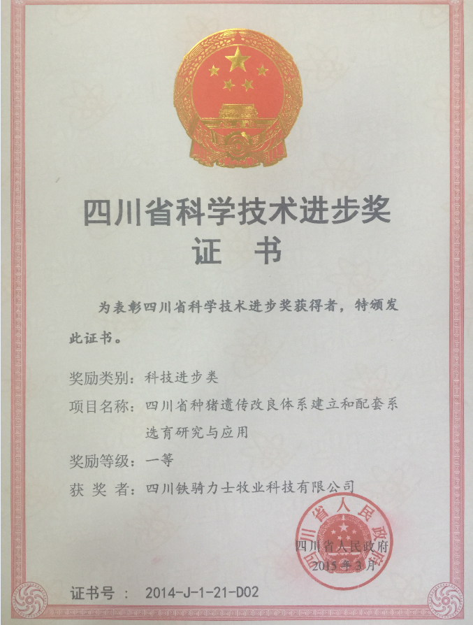 省科技進(jìn)步一等獎