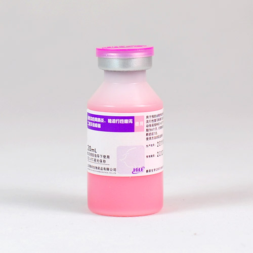 新品推薦