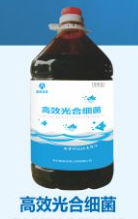 奧諾藍(lán)盾高效光合細(xì)菌，肥水，穩(wěn)定池塘PH值，促進(jìn)水草增長(zhǎng)，凈水改水